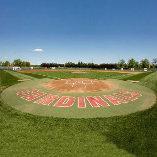 10' Home Plate Halo with Shock Pad from On Deck Sports