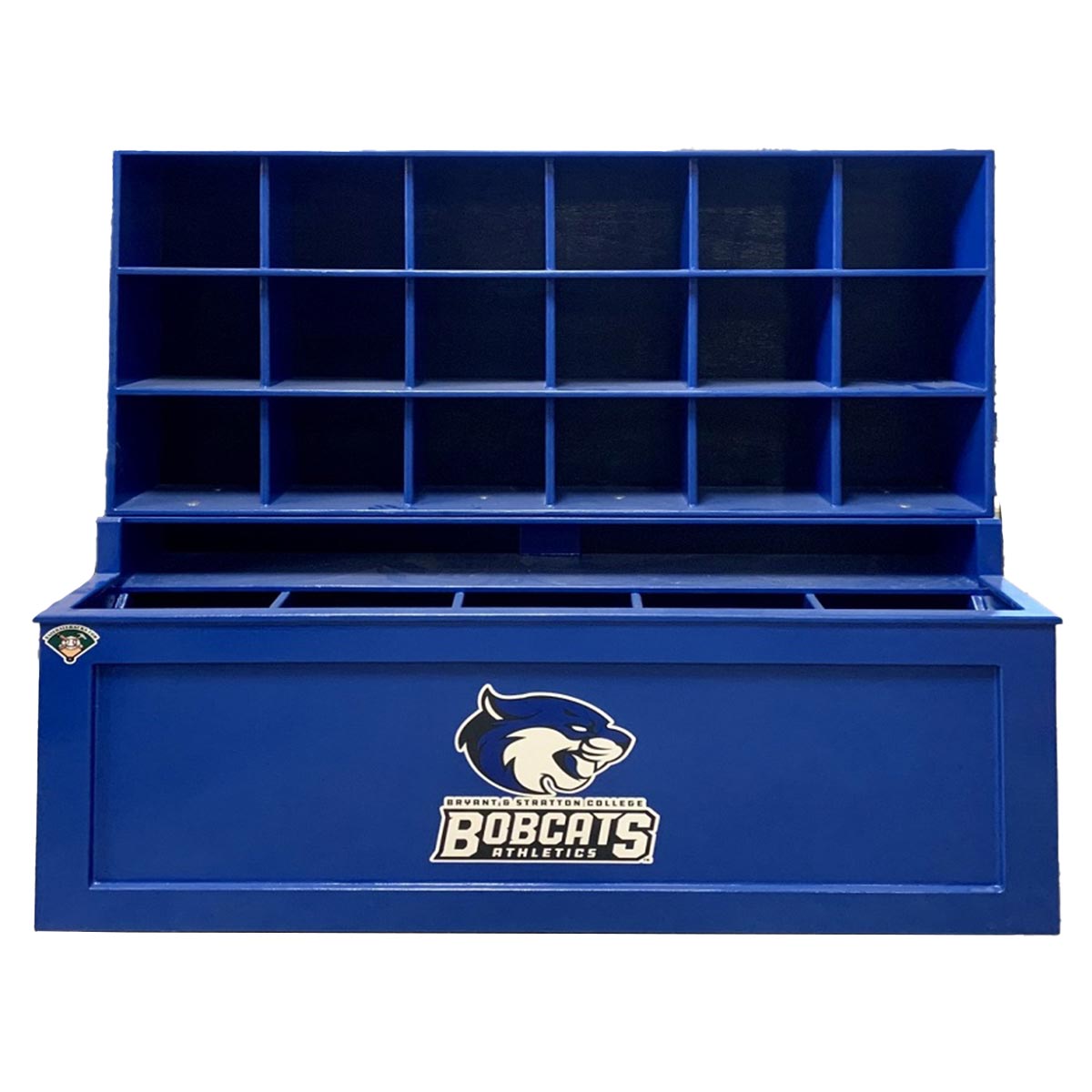 Custom Dugout Furnishings