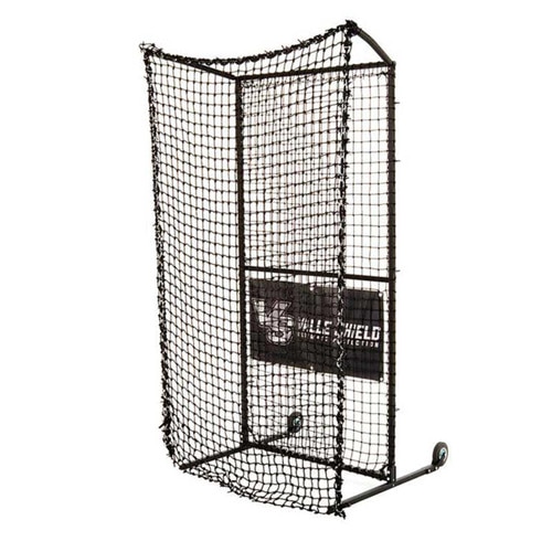Baseball Protective Screen