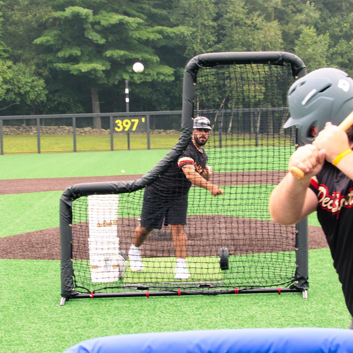Baseball Protective Screen